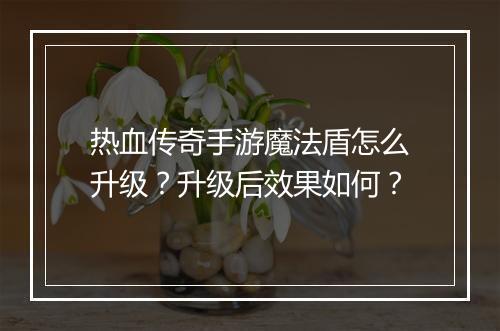 热血传奇手游魔法盾怎么升级？升级后效果如何？
