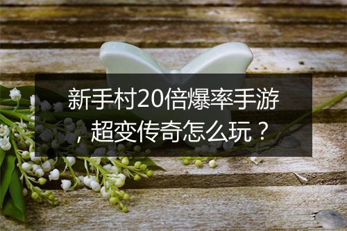 新手村20倍爆率手游，超变传奇怎么玩？