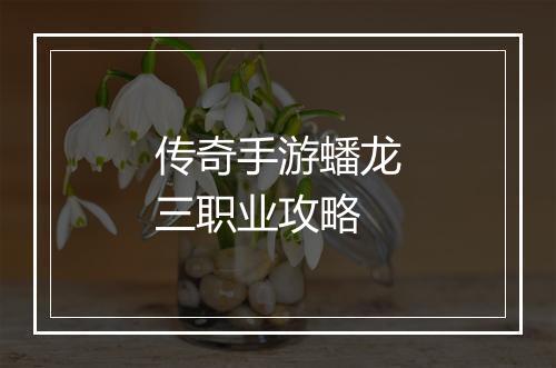 传奇手游蟠龙三职业攻略