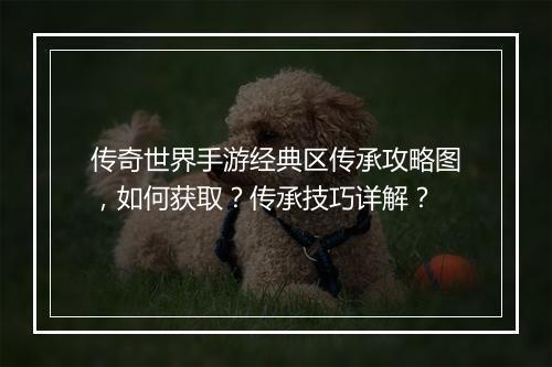 传奇世界手游经典区传承攻略图，如何获取？传承技巧详解？