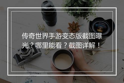传奇世界手游变态版截图曝光？哪里能看？截图详解！
