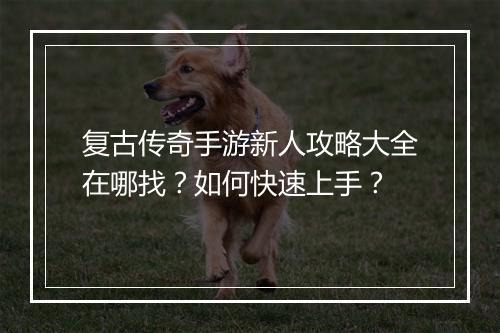 复古传奇手游新人攻略大全在哪找？如何快速上手？