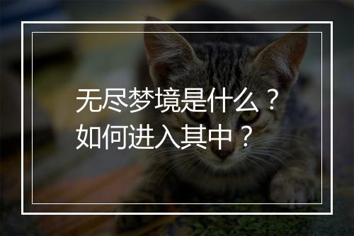 无尽梦境是什么？如何进入其中？