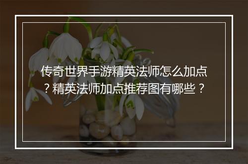 传奇世界手游精英法师怎么加点？精英法师加点推荐图有哪些？