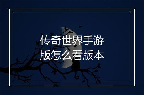 传奇世界手游版怎么看版本