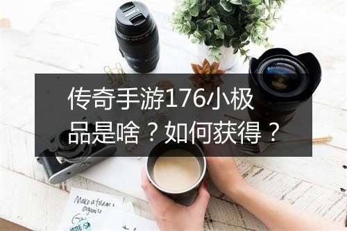 传奇手游176小极品是啥？如何获得？