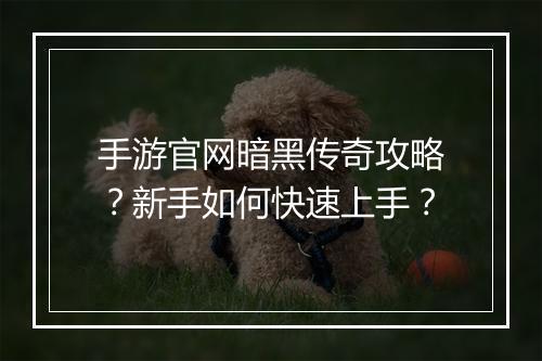 手游官网暗黑传奇攻略？新手如何快速上手？