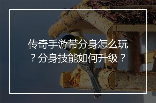 传奇手游带分身怎么玩？分身技能如何升级？