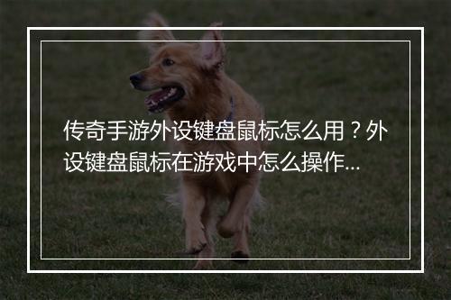 传奇手游外设键盘鼠标怎么用？外设键盘鼠标在游戏中怎么操作？