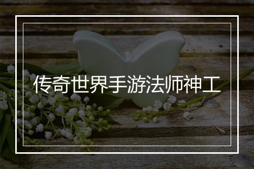 传奇世界手游法师神工