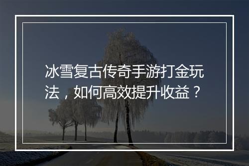 冰雪复古传奇手游打金玩法，如何高效提升收益？