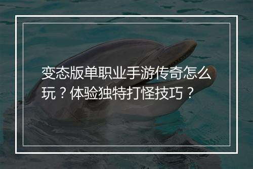 变态版单职业手游传奇怎么玩？体验独特打怪技巧？