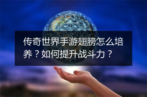 传奇世界手游翅膀怎么培养？如何提升战斗力？