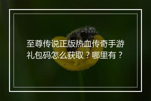 至尊传说正版热血传奇手游礼包码怎么获取？哪里有？