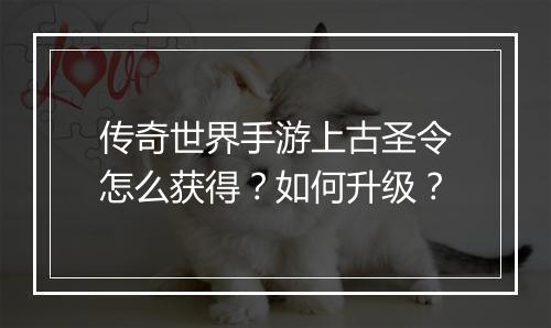 传奇世界手游上古圣令怎么获得？如何升级？