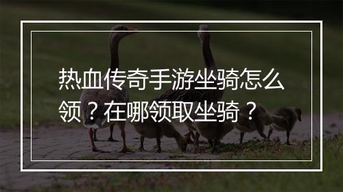热血传奇手游坐骑怎么领？在哪领取坐骑？