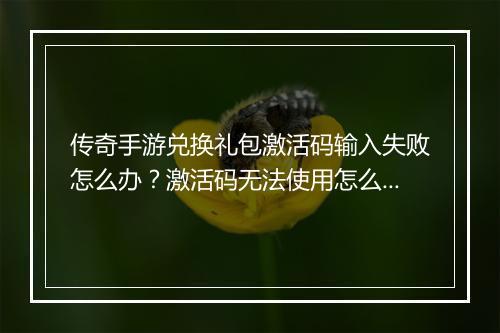 传奇手游兑换礼包激活码输入失败怎么办？激活码无法使用怎么办？