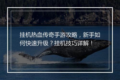挂机热血传奇手游攻略，新手如何快速升级？挂机技巧详解！