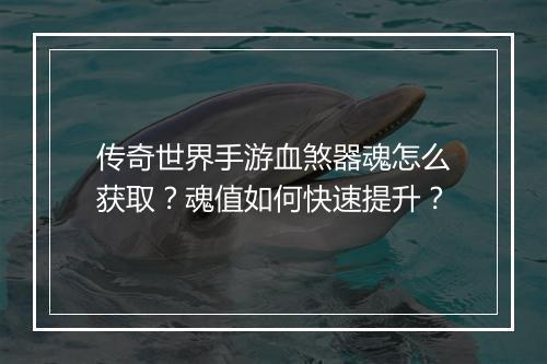 传奇世界手游血煞器魂怎么获取？魂值如何快速提升？