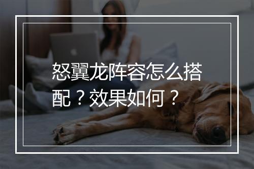 怒翼龙阵容怎么搭配？效果如何？