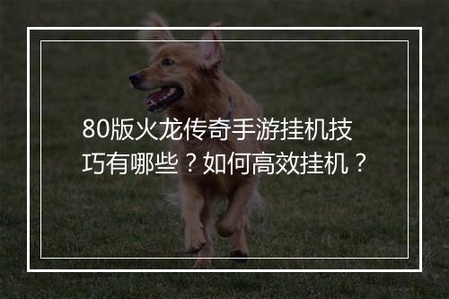 80版火龙传奇手游挂机技巧有哪些？如何高效挂机？