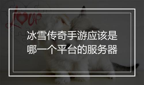 冰雪传奇手游应该是哪一个平台的服务器