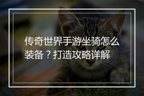 传奇世界手游坐骑怎么装备？打造攻略详解