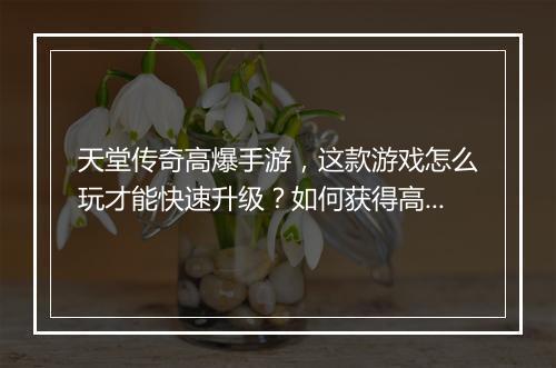 天堂传奇高爆手游，这款游戏怎么玩才能快速升级？如何获得高爆装备？