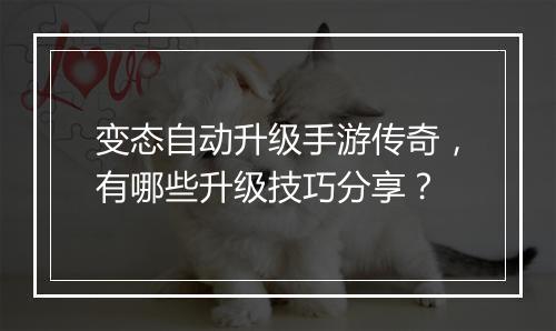 变态自动升级手游传奇，有哪些升级技巧分享？