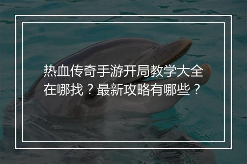 热血传奇手游开局教学大全在哪找？最新攻略有哪些？
