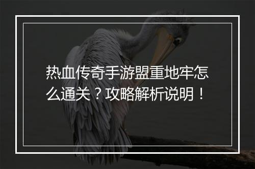 热血传奇手游盟重地牢怎么通关？攻略解析说明！