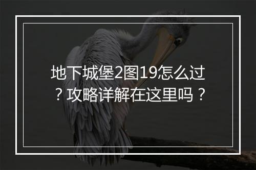 地下城堡2图19怎么过？攻略详解在这里吗？