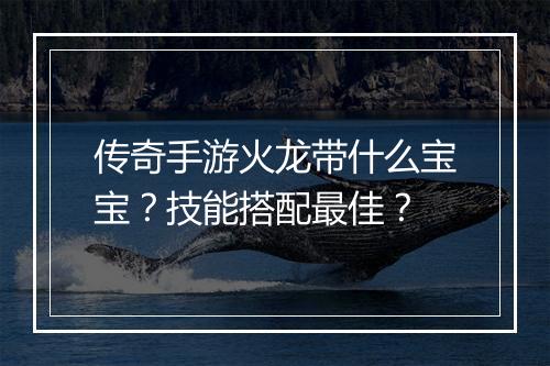 传奇手游火龙带什么宝宝？技能搭配最佳？