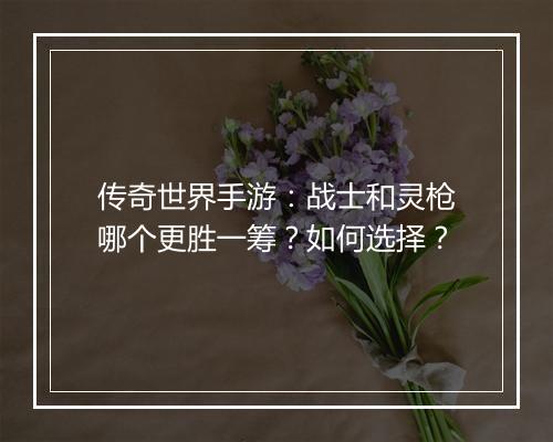 传奇世界手游：战士和灵枪哪个更胜一筹？如何选择？