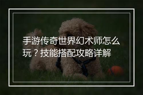 手游传奇世界幻术师怎么玩？技能搭配攻略详解