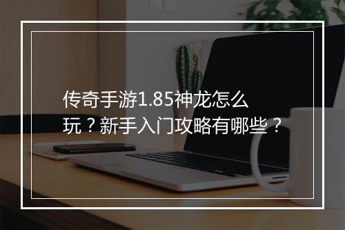 传奇手游1.85神龙怎么玩？新手入门攻略有哪些？