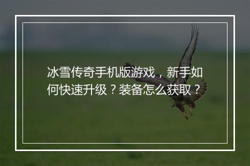 冰雪传奇手机版游戏，新手如何快速升级？装备怎么获取？