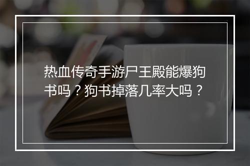 热血传奇手游尸王殿能爆狗书吗？狗书掉落几率大吗？