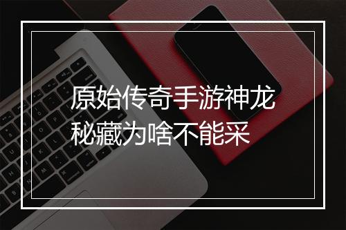 原始传奇手游神龙秘藏为啥不能采
