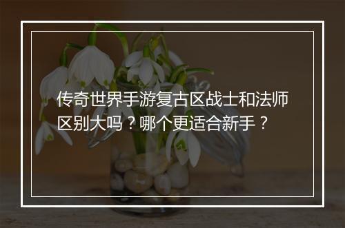 传奇世界手游复古区战士和法师区别大吗？哪个更适合新手？