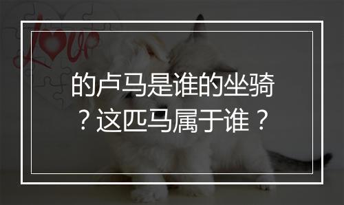 的卢马是谁的坐骑？这匹马属于谁？