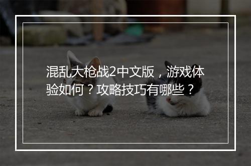 混乱大枪战2中文版，游戏体验如何？攻略技巧有哪些？