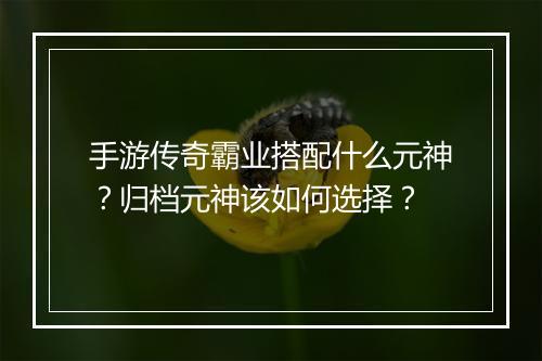 手游传奇霸业搭配什么元神？归档元神该如何选择？