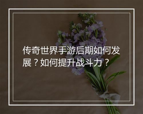 传奇世界手游后期如何发展？如何提升战斗力？
