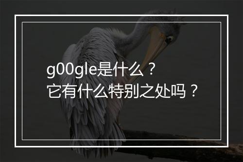 g00gle是什么？它有什么特别之处吗？