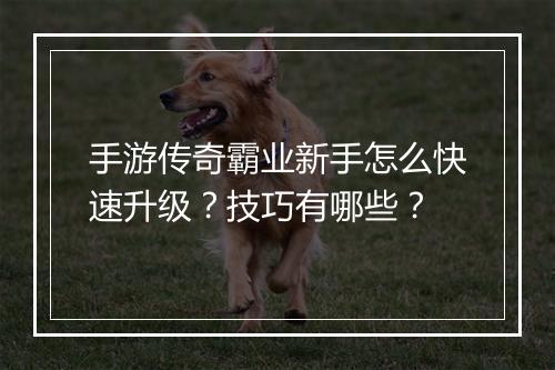 手游传奇霸业新手怎么快速升级？技巧有哪些？