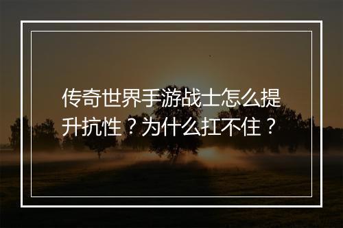 传奇世界手游战士怎么提升抗性？为什么扛不住？