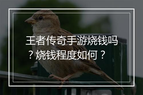 王者传奇手游烧钱吗？烧钱程度如何？