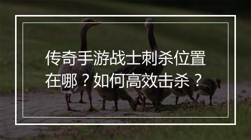 传奇手游战士刺杀位置在哪？如何高效击杀？