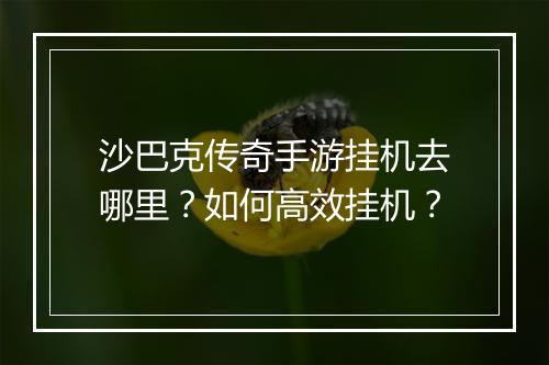 沙巴克传奇手游挂机去哪里？如何高效挂机？